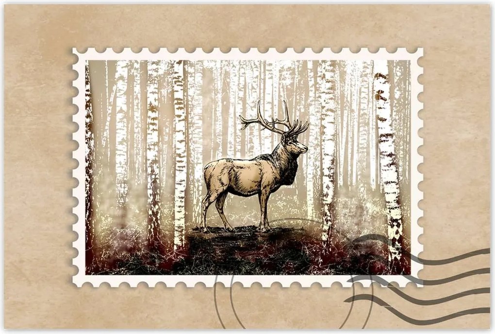 Poszter 60x40 Szarvas Nyírfa Erdő