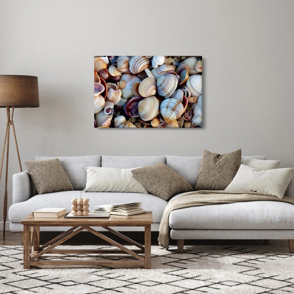 Kagyló képe (90x60 cm)