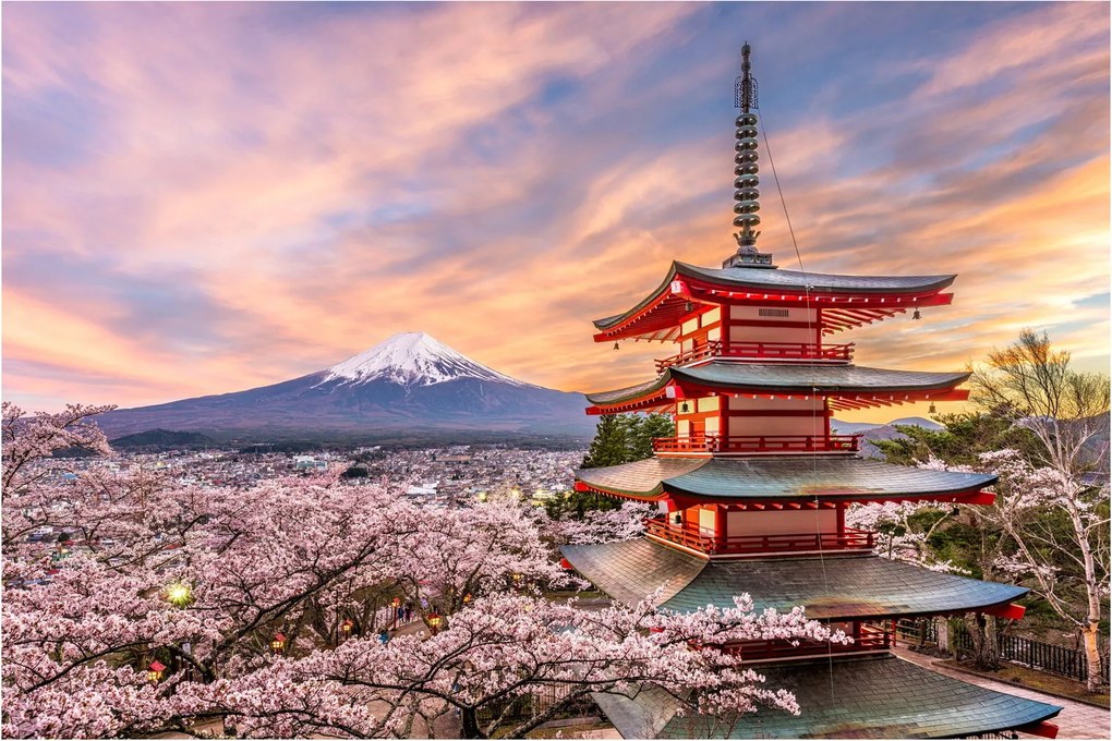 Kép - Fuji (90x60 cm)