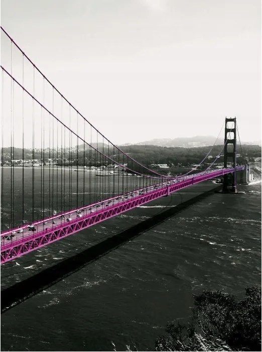 Fotótapéta Arany kapu San Francisco híd minimalizmus loft 206x275 +ragasztó