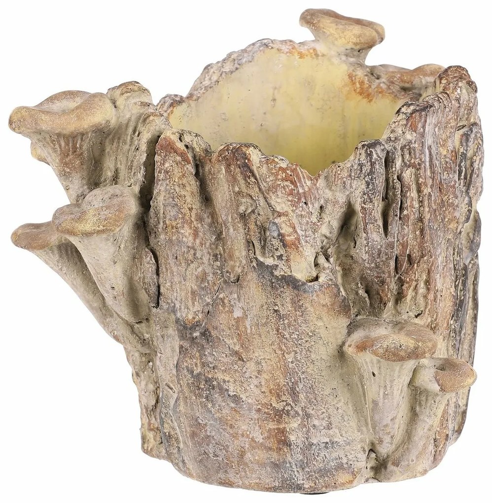 Beton burkolat - tusk with mushrooms, 19 x 17 x 16cm