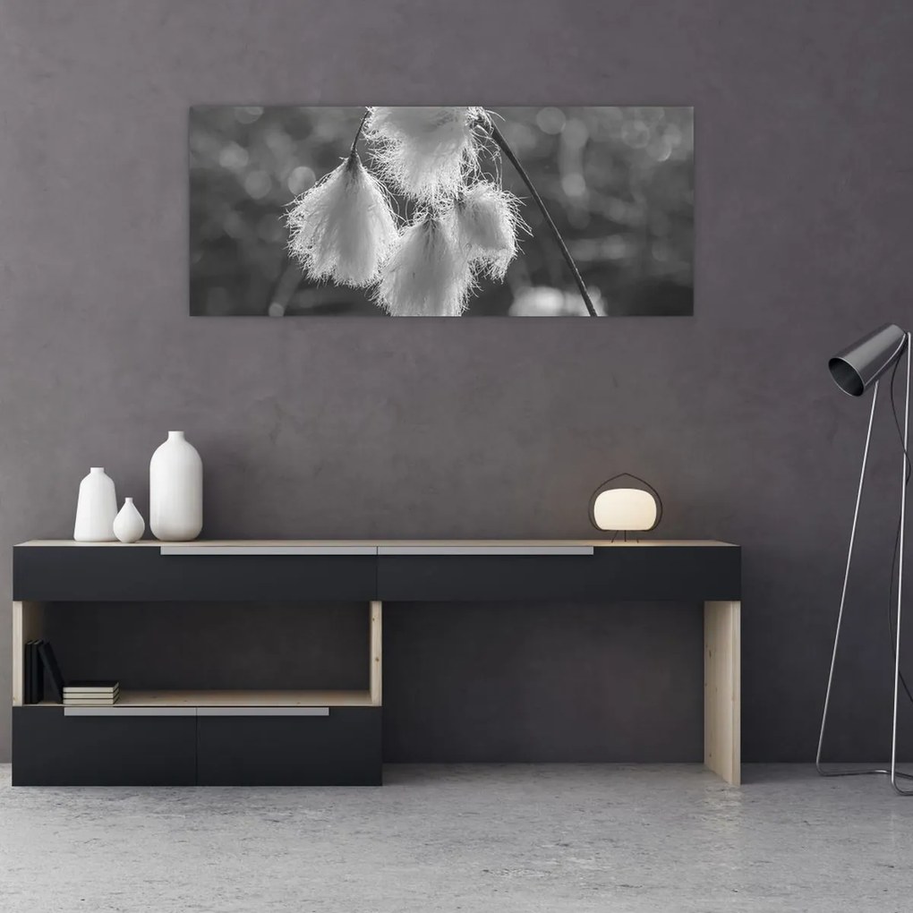 Kép - Cottongrass (120x50 cm)