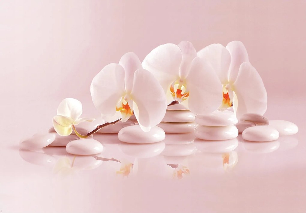 Fotótapéta flizelina Fehér orchideák a köveken finomság 400x280 +ragasztó