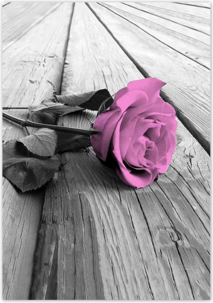 Poszterek 70x100 Régi rózsa Rózsa a deszkákon