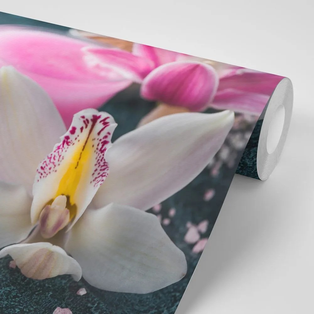 Öntapadó fotótapéta gyönyörű orchidea