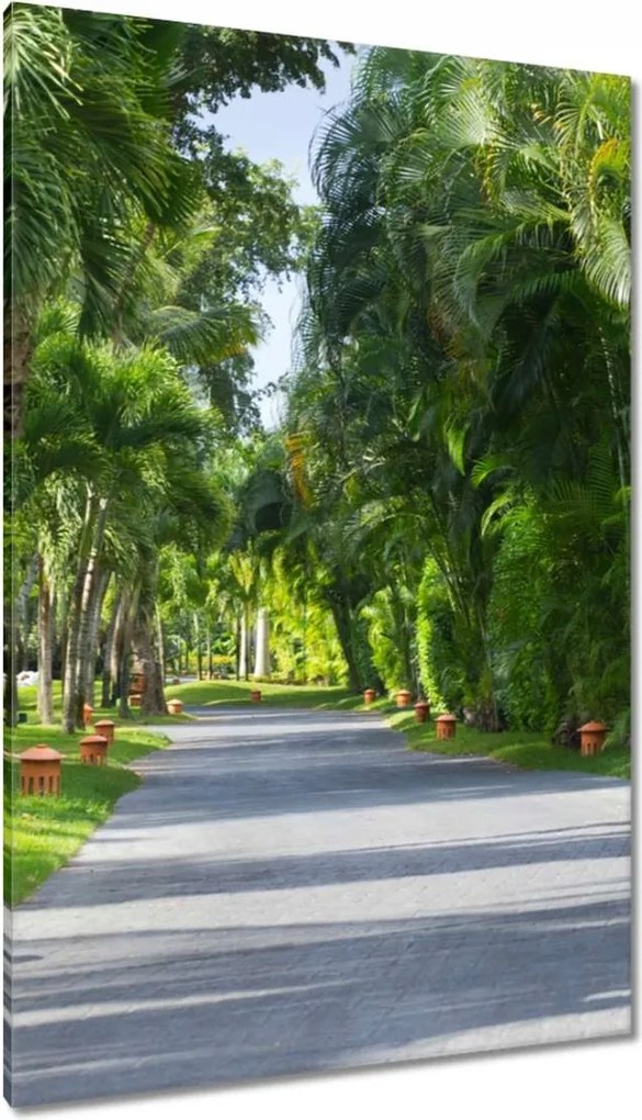 Vászonkép 80x120 Park Falevelek