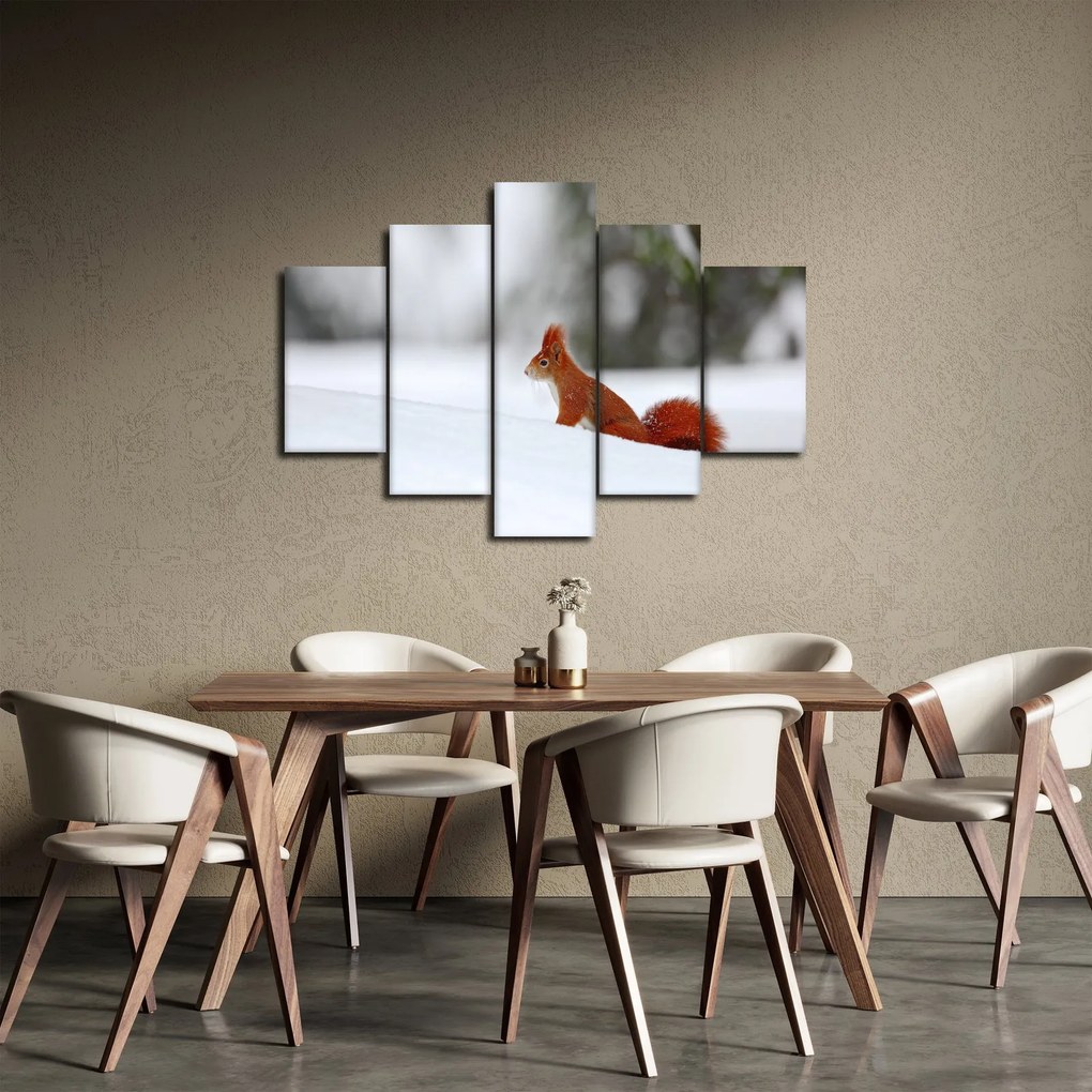 Egy mókus képe (150x105 cm)