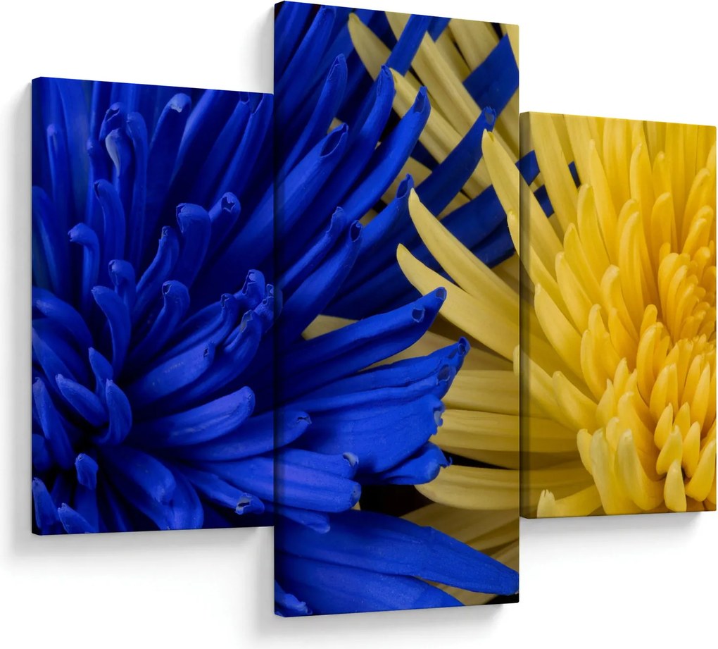 Kép - virág részlet (90x60 cm)