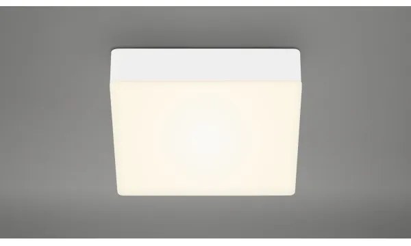Briloner 7069-016 - LED Mennyezeti lámpa LED/11W/230V fehér