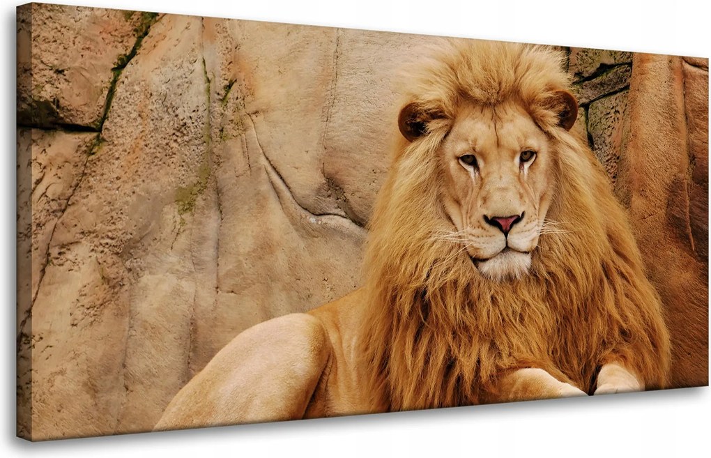 Vászonkép Állat a sziklánál Természet 80x40 cm