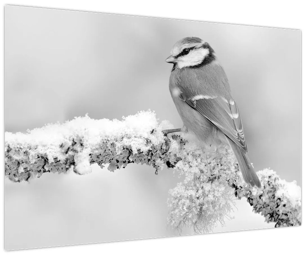 Kép - Egy madár egy ágon (90x60 cm)