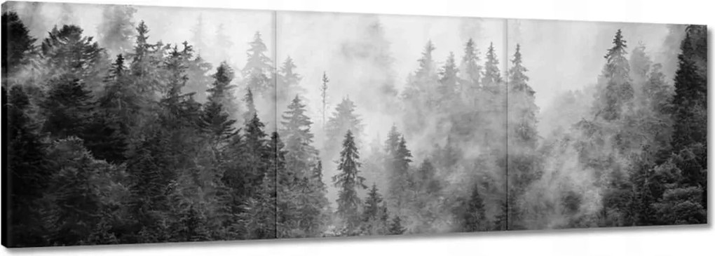 Vászonkép 120x40 Tájkép Szürke Hegyek Köd