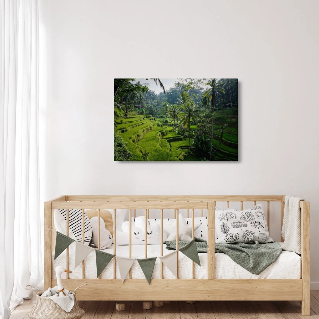 Kép a rizs teraszokról, Tegalalang, Bal (90x60 cm)