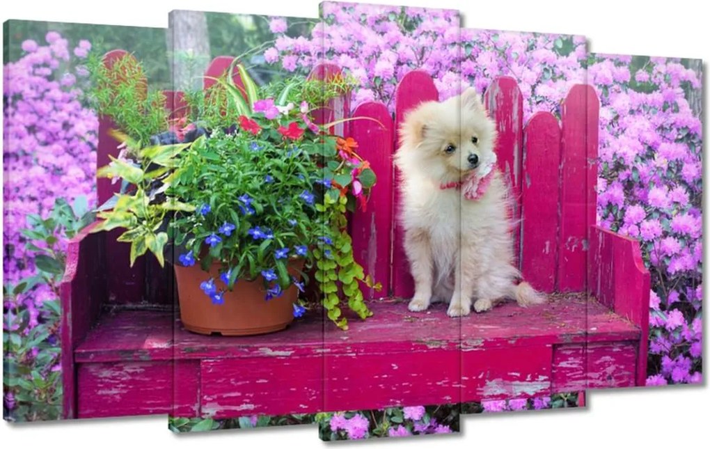 Vászonkép 100x60 Kutya Kutyák