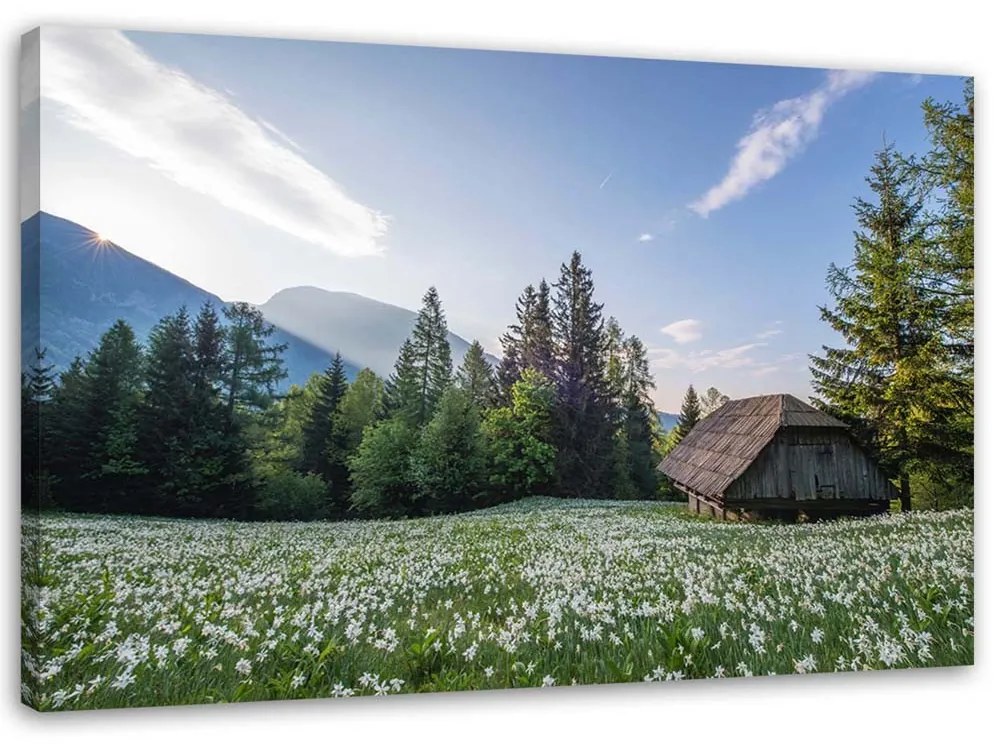 Gario Vászonkép Faház a fák között Méret: 120 x 80 cm