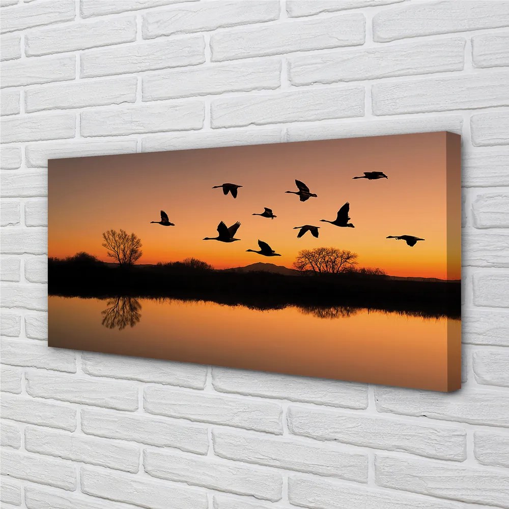 Canvas képek Repülő madarak naplemente 120x60 cm