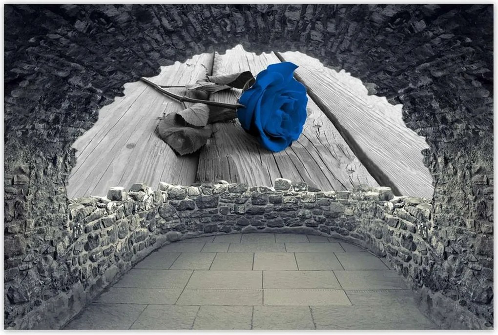 Poszterek 120x80 Kék rózsa a deszkákon