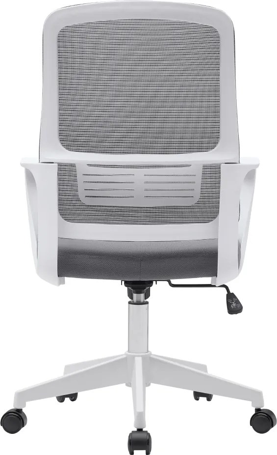 Irodai szék, szürke/fehér, SALOMO TYP 1