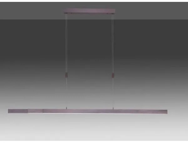 Paul Neuhaus 2568-24 - LED dimmelhető csillár zsinóron ADRIANA LED/14W/230V