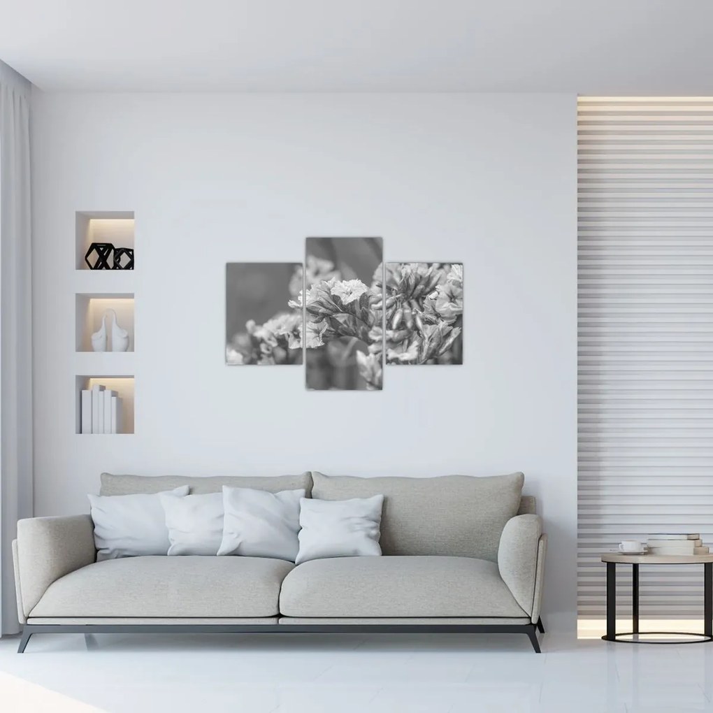 Kép - Szárított virágok (90x60 cm)