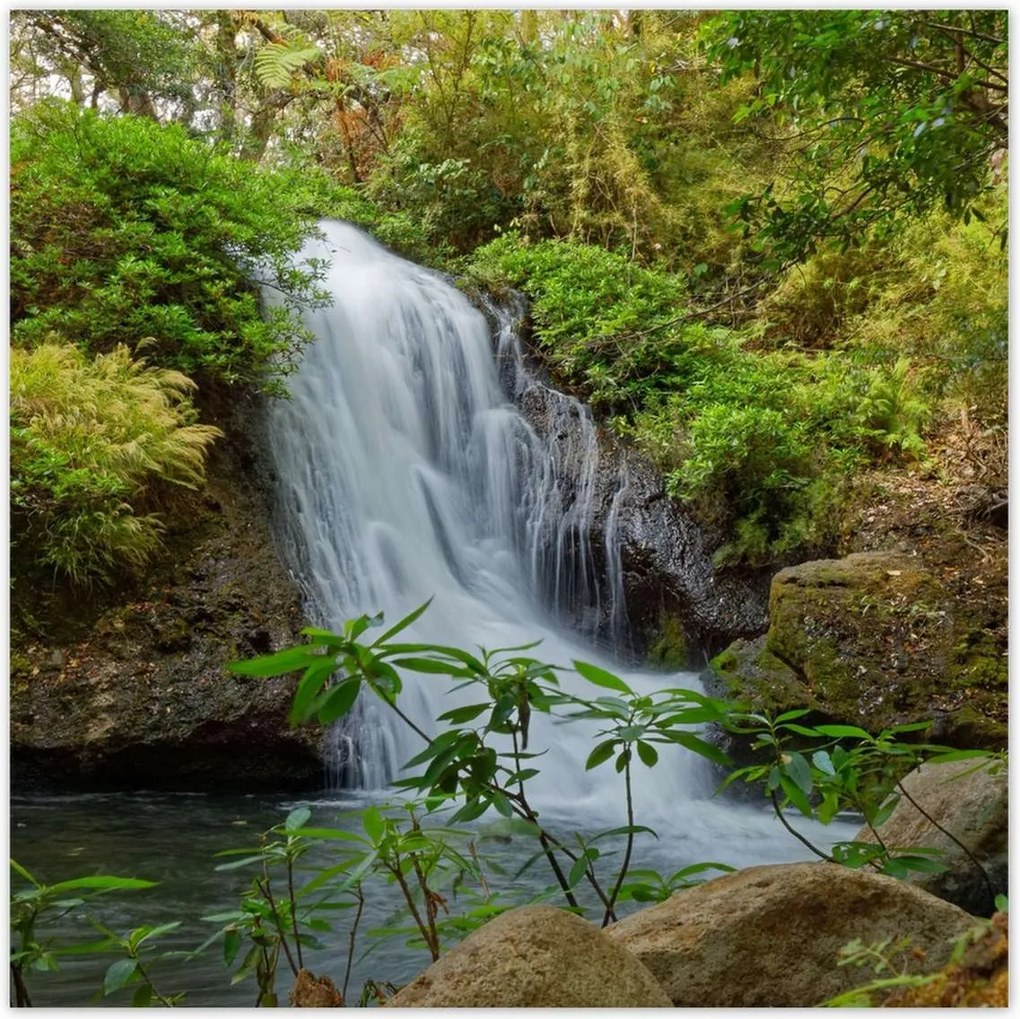 Poszterek 100x100 Vízesés OrszágPlakátok