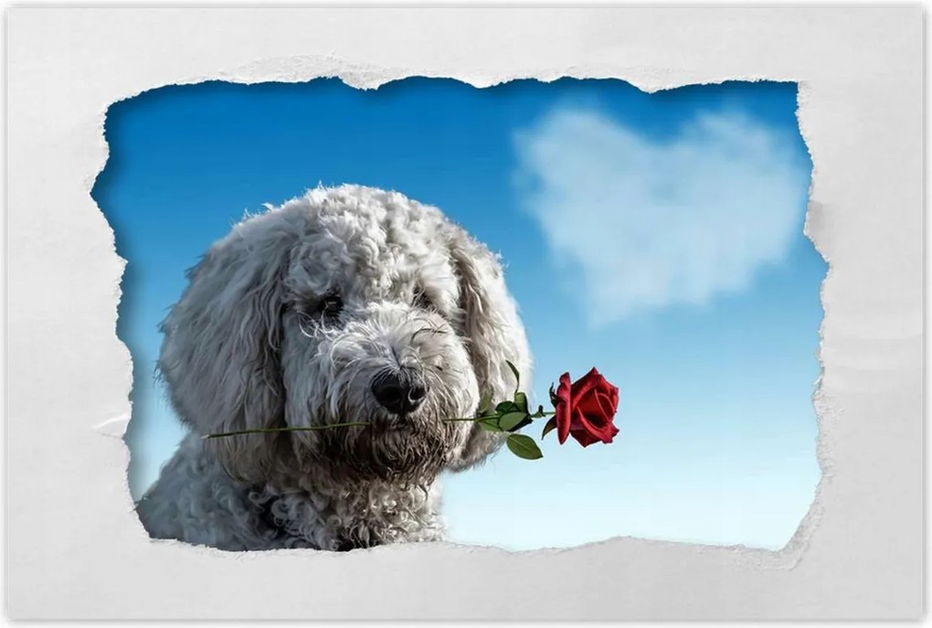 Poszterek 90x60 Szerelmes korcs szerelem