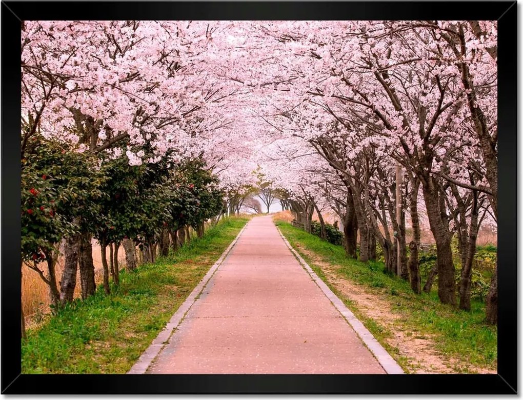 Poszterek keretben 40x30 Virágok