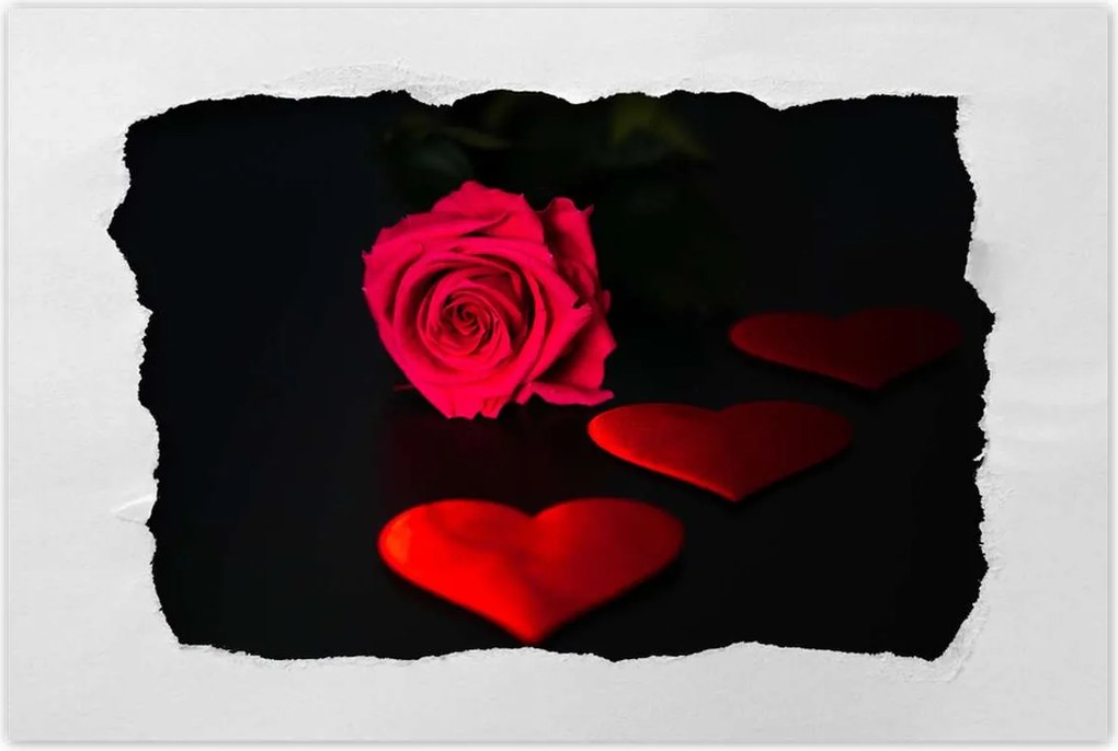 Poszter 60x40 Vörös rózsa virág