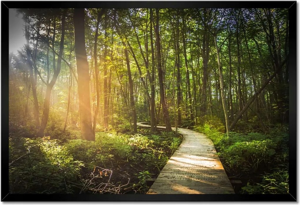 Poszterek keretben 60x40 Napsugár a sétán
