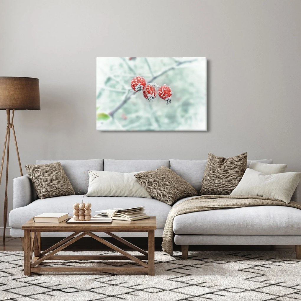 Fagyasztott csipkebogyó képe (90x60 cm)