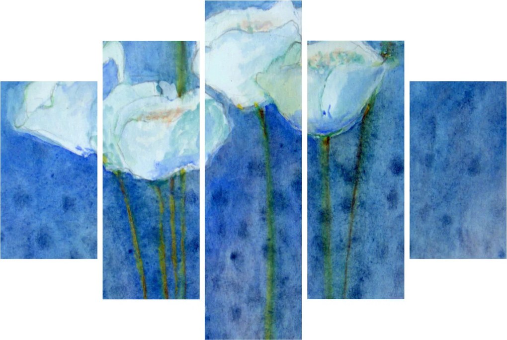 Kép - fehér tulipán (150x105 cm)