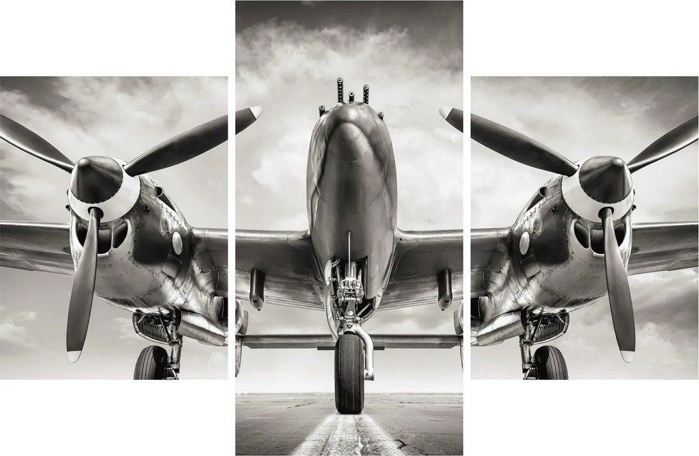 Kép - Warbird (90x60 cm)