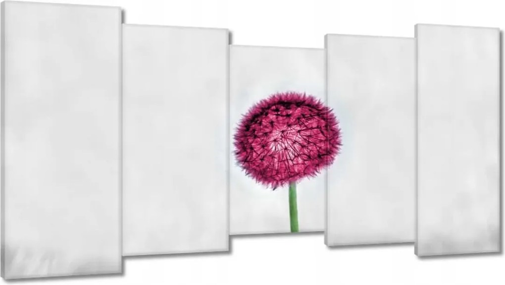 Vászonkép 150x80 Rózsaszín pitypang virág