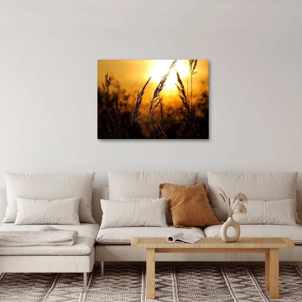 A lenyugvó nap képe (70x50 cm)