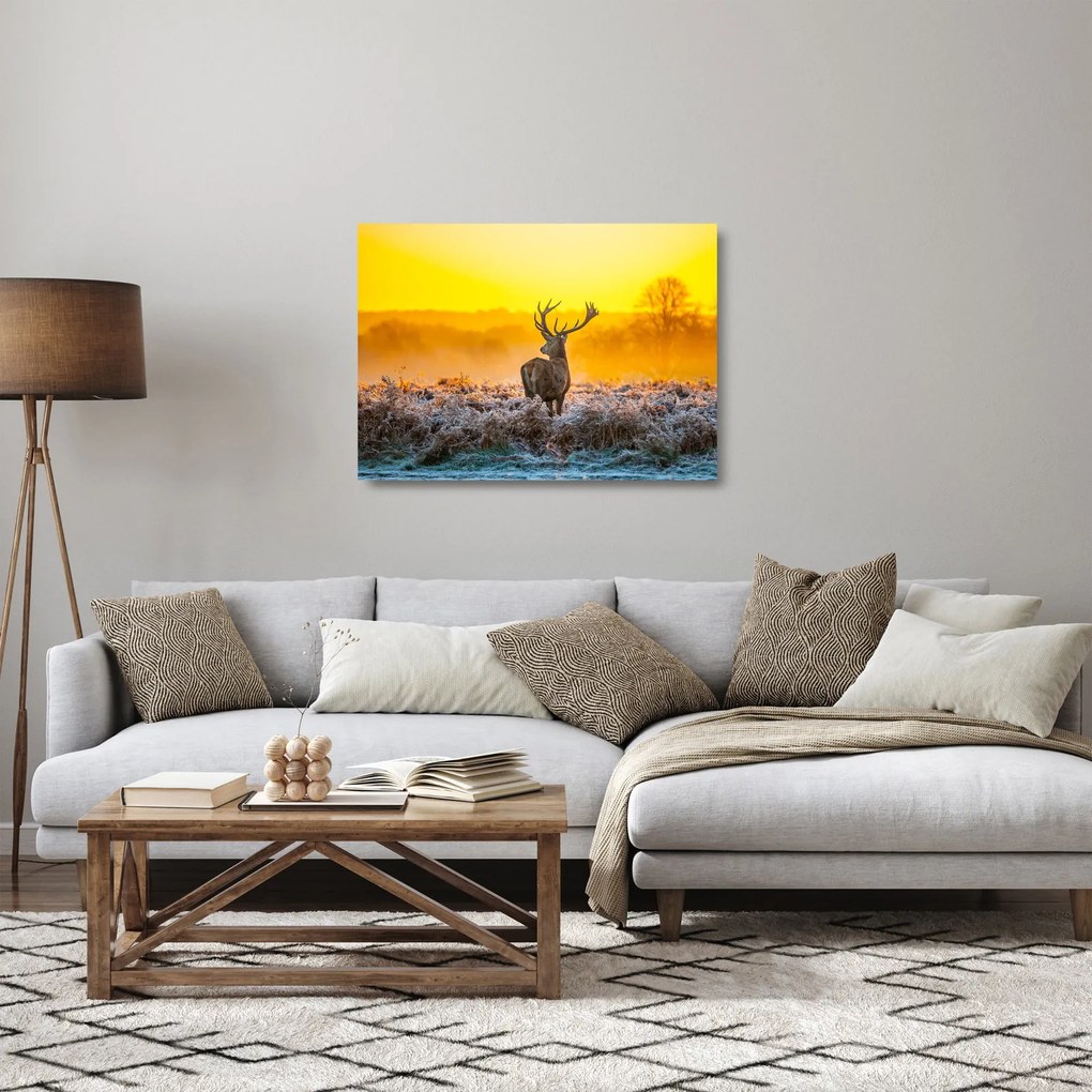 Üveg kép - Szarvas napfelkeltekor (70x50 cm)
