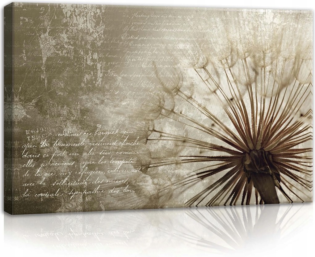 Vászonkép 60x40 Pitypang mag pehely könnyű bézs barna szél