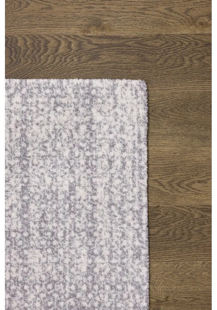 Világosszürke gyapjú szőnyeg 200x300 cm Eden – Agnella