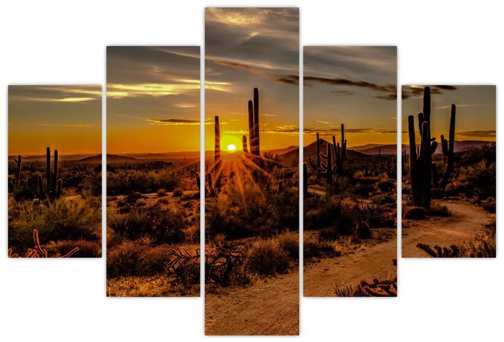 Kép - A nap vége az arizonai sivatagban (150x105 cm)