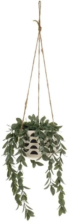 Műnövény (magasság 28 cm) – Casa Selección