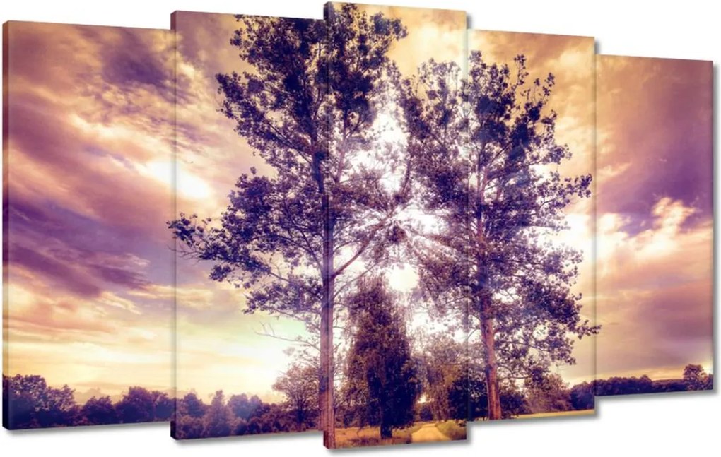 Festmények 100x60 Fák az út mellett