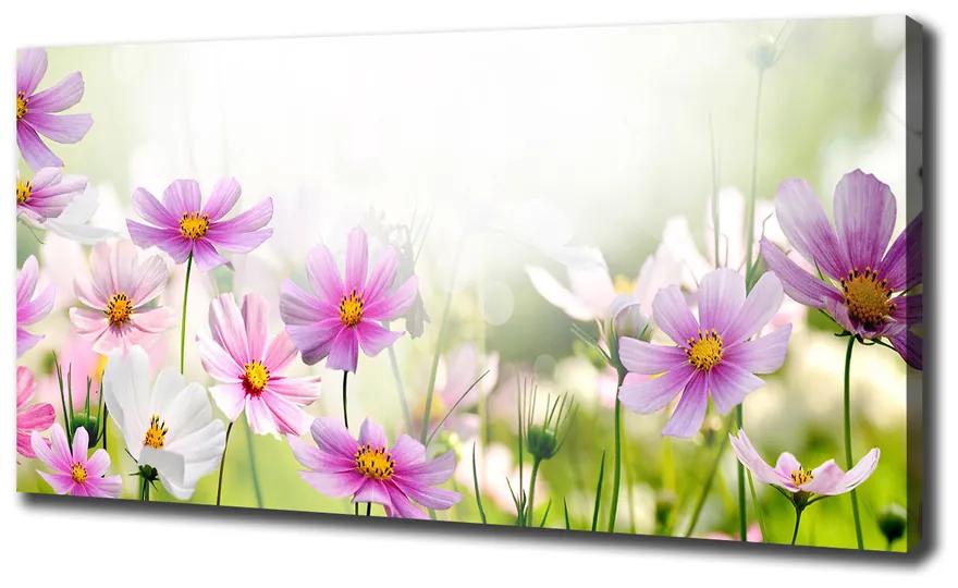 Vászonkép nyomtatás Virágok a réten pl-oc-140x70-f-49015861