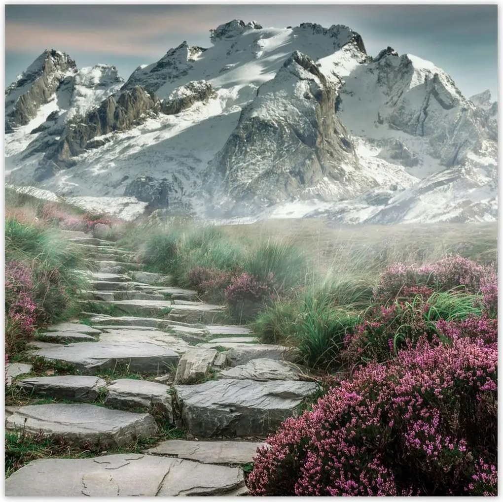 Poszterek 100x100 Hegyi kilátás Tájkép Köd