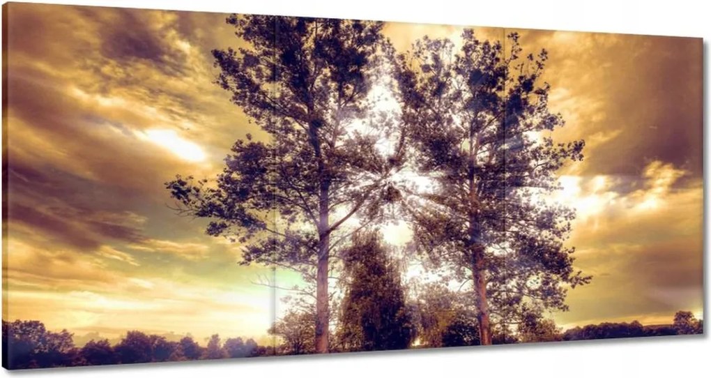 Festmények 180x90 Vidéki tájkép úttal