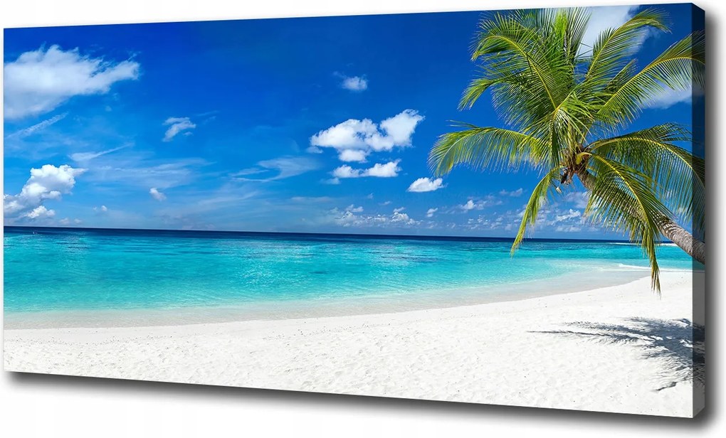 Vászonkép Trópusi tengerpart 100x70 cm