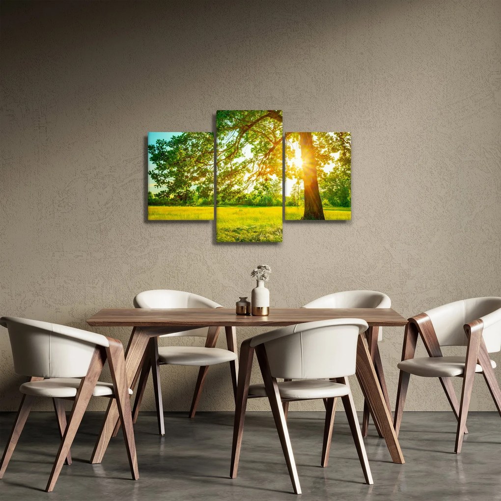Kép - Sunny Forest (90x60 cm)