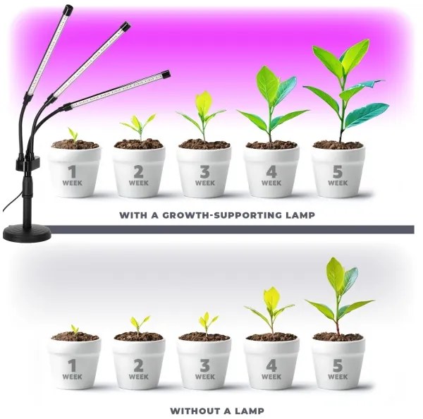 Brilagi - LED Dimmelhető fényerejű lámpa növények termesztésére VITABLOOM 3xLED/10W/230V