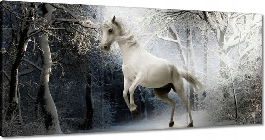 Vászonkép 120x60 Fehér paripa