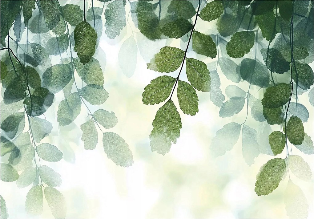 Fotótapéta Levelek a flizelinen Gyönyörű Levelek gallyak fotótapéta ragasztó