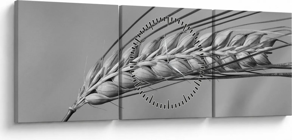 Kép - Búza, fekete-fehér (órával) (90x30 cm)