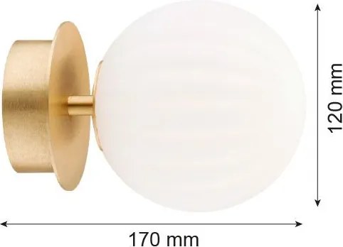ARGON 8504 PALOMA Glamour Mennyezeti Lámpa Opál Szőnyeg, Csiszolt Sárgaréz E14 IP20